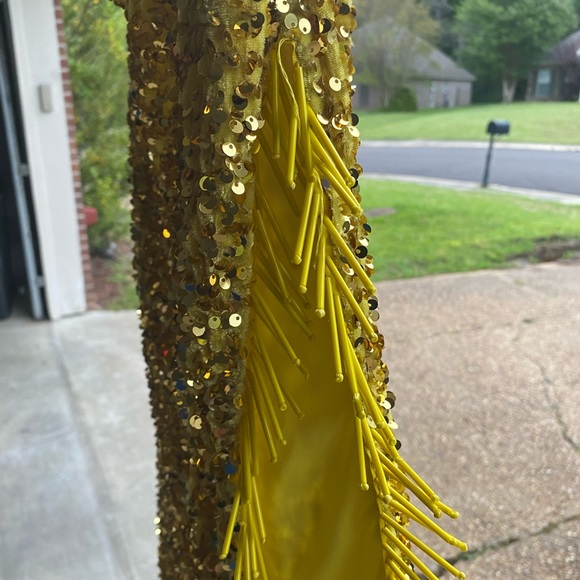 Fashion Nova Luxe Velvet Sequin Maxi Dress - Picture 9 of 15